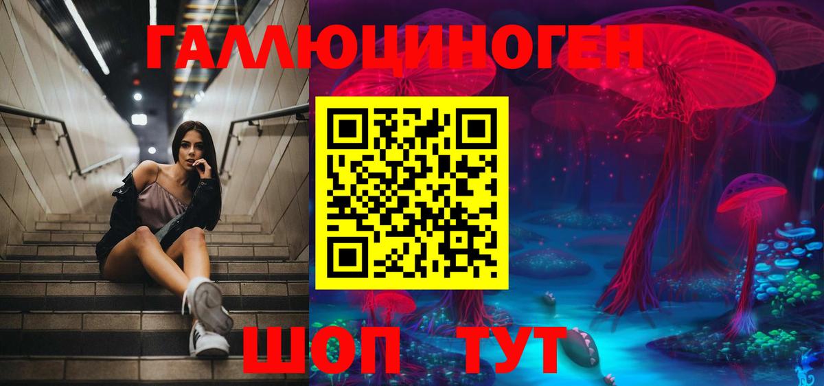 Галлюциногенные грибы Cubensis Иваново